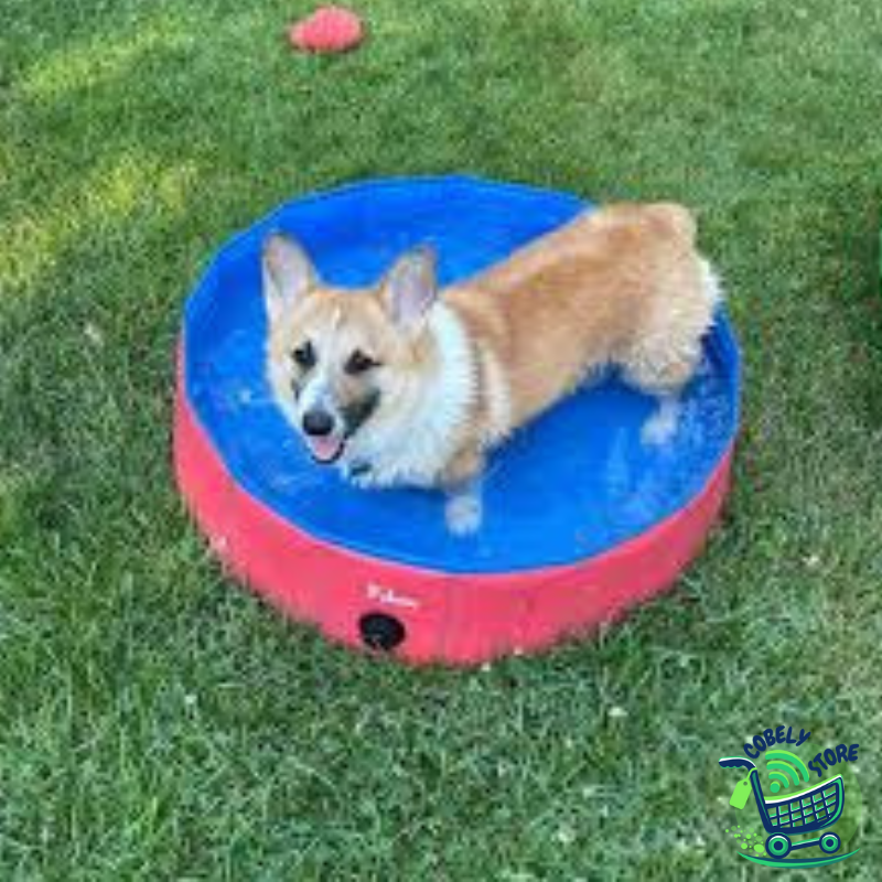 AquaPet ™